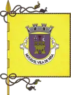Flagge von Nisa