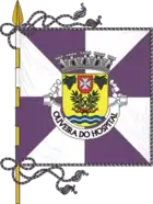 Flagge von Oliveira do Hospital