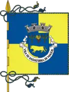 Flagge des Concelhos Salvaterra de Magos