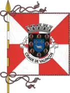 Flagge von Valpaços