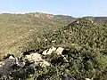 Blick zum Puig Badat