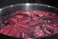 Pulperia Ezequiel: Zubereitung des Pulpo