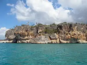 Punta Águila, das Nordende der Bucht.