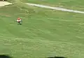 Der weit entfernte Golfer wirkt klein im Vergleich zur großen Fläche der Wiese. Foto