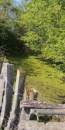 Quelle der Angel bei Vellern