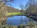Quellteich Flockertsholzbach
