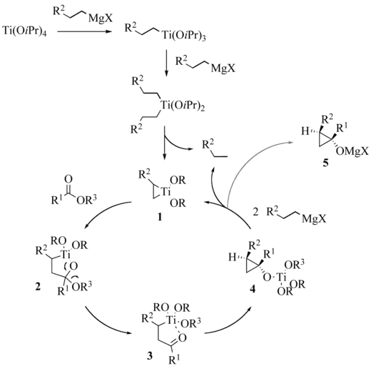Reaction mechanism