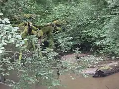 Röthenbach an der Mündung des Haidelbachs