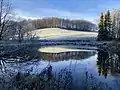 Teich in Röttgen