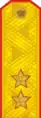 Schulterstück Paradeuniform 1994–2010.