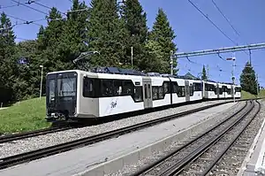 Bhe 4/6 45 + 46 als Doppeltraktion in Rigi Staffel