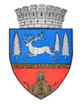 Wappen von Bacău