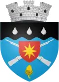 Wappen von Darabani