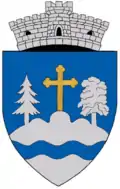 Wappen von Holbav