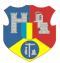 Wappen von Dej