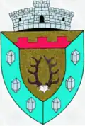 Wappen von Bolvașnița