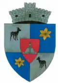 Wappen von Padeș