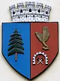 Wappen von Brad (Hunedoara)