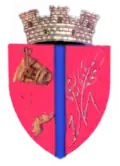 Wappen von Călan