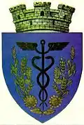 Wappen von Țăndărei