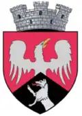 Wappen von Târgu Frumos