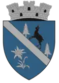 Wappen von Borșa