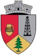 Wappen von Săcel (Maramureș)