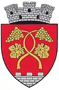 Wappen von Seini