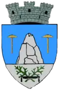 Wappen von Slănic (Prahova)