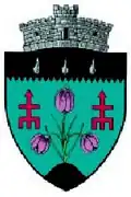 Wappen von Frătăuții Noi