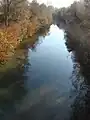 Die Weiße Kreisch bei Crișan