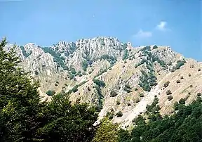 Mehedinți Gebirge