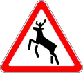 1.27Wildwechsel