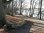 Landschaftspark am Schweriner See in Raben Steinfeld