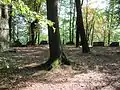 Zinnen der umgebenden Bastion, in den 2000er Jahren ohne Aussicht