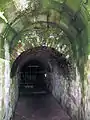 Gießmannscher Tunnel, Ausgangs-Mundloch: Eingang, tiefer drin