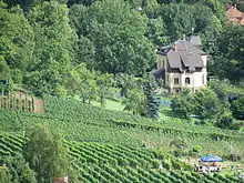 Villa Elisabeth, vom oberhalb gelegenen Eggersweg aus