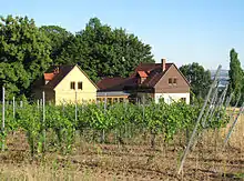 Winzerhaus Jägerhofstraße 33 mit Wirtschaftsgebäude