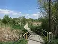 Radweg bei Balatonfűzfő