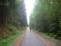 nach Falkenstein