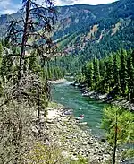 Der Snake River im Snake River Canyon (Wyoming)