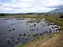 Rakatu Wetlands