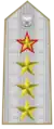 Designierter Armeegeneral bis 1972