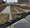 Während des Auffüllens sind die Schienen abgedeckt. (Straßenbahn Straßburg)