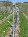 Rautenerziehung mit 40&nbsp;cm Breite
