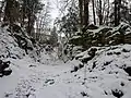 Äußerer Halsgraben
