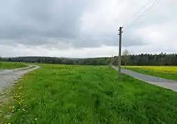 Blick vom Norden auf das Waldgebiet und ins Osterzgebirge