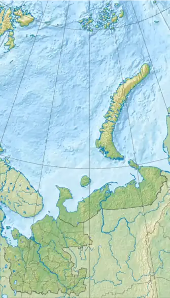 Kap Fligely (Oblast Archangelsk)