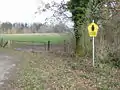 Wiesen am Bosselwisch