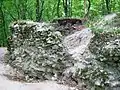 Burgruine in Rembów